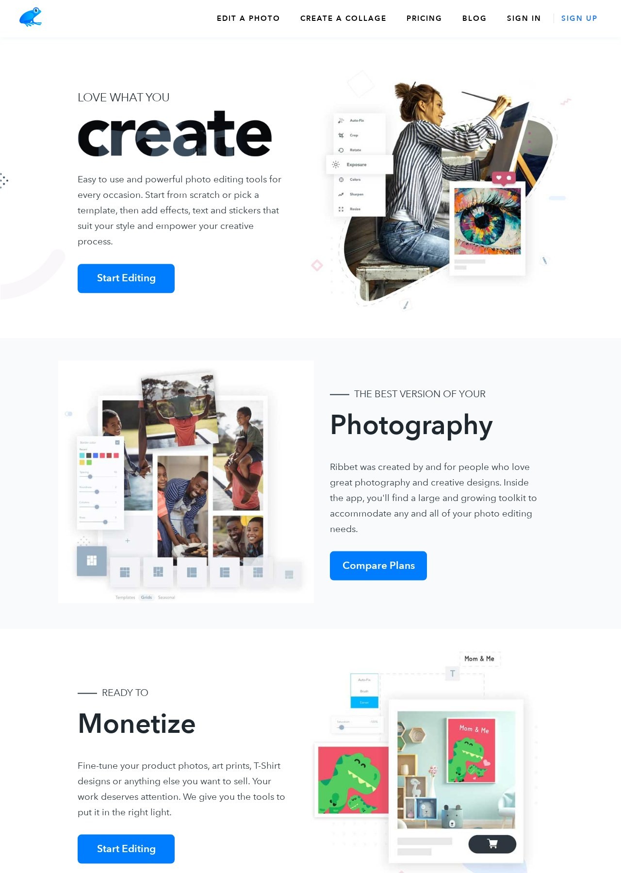 Ribbet.com website project